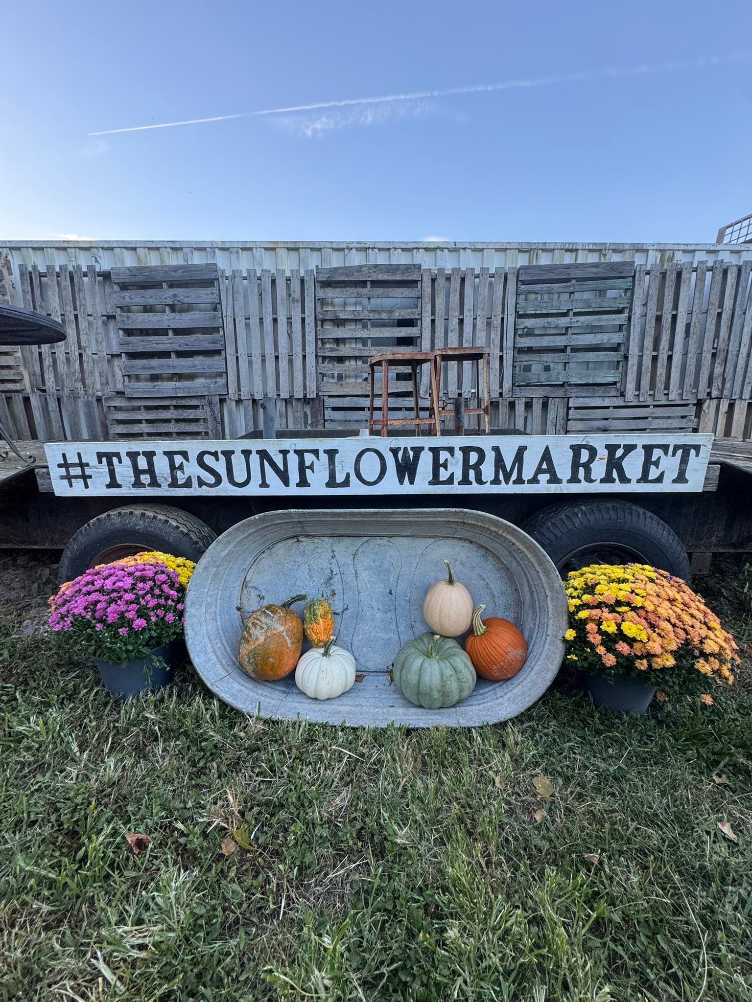 Fall Sunflower Market at Lambrecht Farm